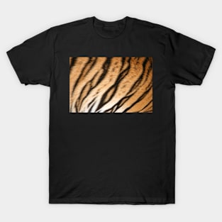 Hide of the Tiger Cub, Thailand T-Shirt